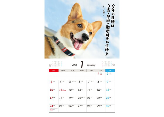 楽天ブックス コーギーげんきなおはなしカレンダー コーギースタイル編集部 本 楽天ブックス コーギーげんきなおはなしカレンダー コーギースタイル編集部 本